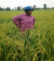 Seeing the invisible, doing the impossible: A young Nigerian entrepreneur’s journey to success.
